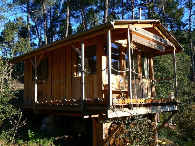 Cabane en bois perchée, entourée de verdure, avec une terrasse ensoleillée.
