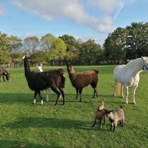 Ecodomaine Rever Ailleurs en Pays de la Loire