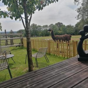 Hébergement insolite en Pays de la Loire avec vue sur un lama et mobilier extérieur moderne.