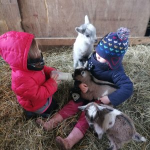 Ecodomaine Rever Ailleurs en Pays de la Loire