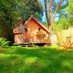 Cabane en bois dans un écrin de verdure, avec chaises longues sur la pelouse.