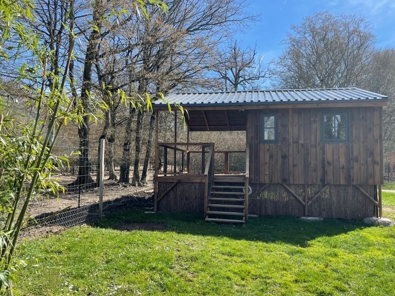 Cabane en bois perchée, entourée darbres, avec une terrasse ensoleillée.