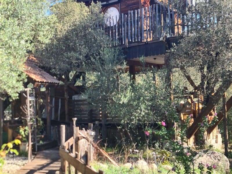 Cabane dans les arbres entourée darbres, avec un chemin en bois menant à lentrée.
