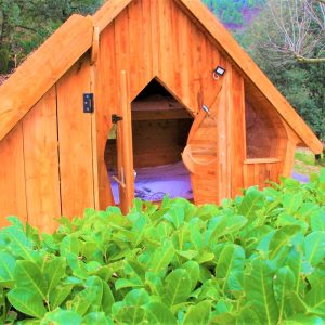 Cabane en bois au cœur de la nature, avec une vue sur un lit douillet.