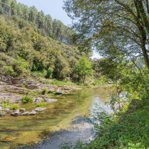Hébergement insolite en pleine nature, au bord dune rivière entourée de verdure.