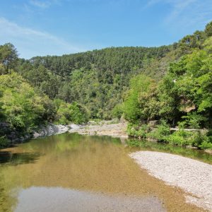 Hébergement insolite en pleine nature, au bord dune rivière entourée de verdure.