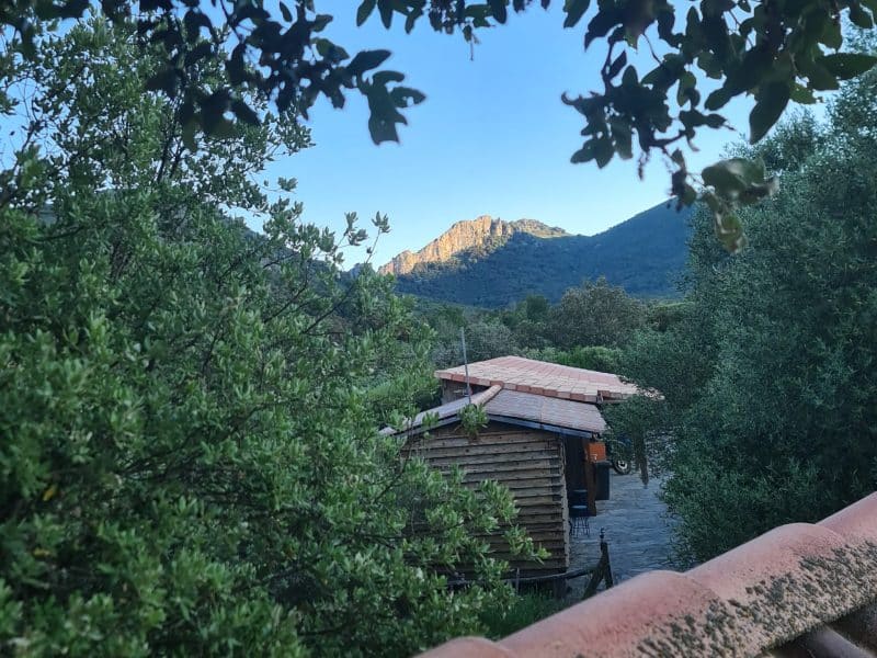Cabane en bois entourée de verdure, vue sur les montagnes au loin.