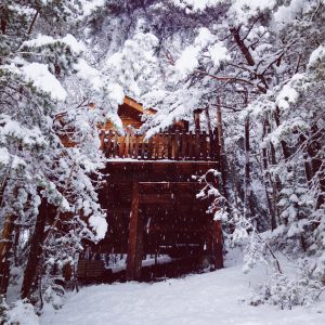 Cabane perchée en bois, entourée de neige et darbres enneigés en Auvergne-Rhône-Alpes.