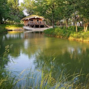 Authentic Nature - Fuste - Logement insolite