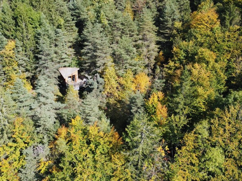 Cabane perchée dans les arbres, entourée de feuillage automnal coloré.
