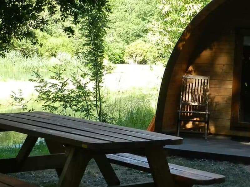 Cabane en bois avec terrasse, entourée de verdure et vue sur létang.