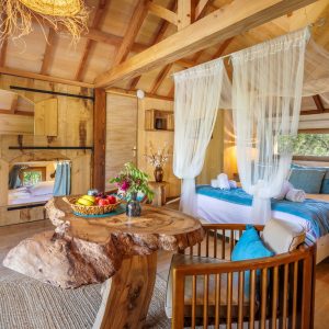 Cabane en bois dans les arbres, décor chaleureux avec lit douillet et table en bois.