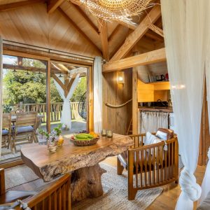 Cabane en bois avec terrasse, décor chaleureux et vue sur la nature en Aquitaine.