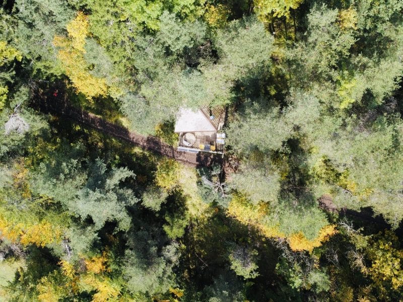 Cabane perchée au cœur des arbres, entourée de feuillage coloré en Auvergne.