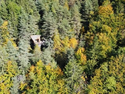 Cabane perchée dans les arbres, entourée de feuillus aux couleurs dautomne.