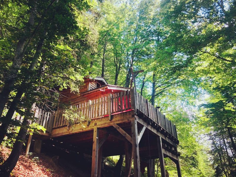 Cabane perchée en bois, entourée darbres verdoyants en Auvergne-Rhône-Alpes.