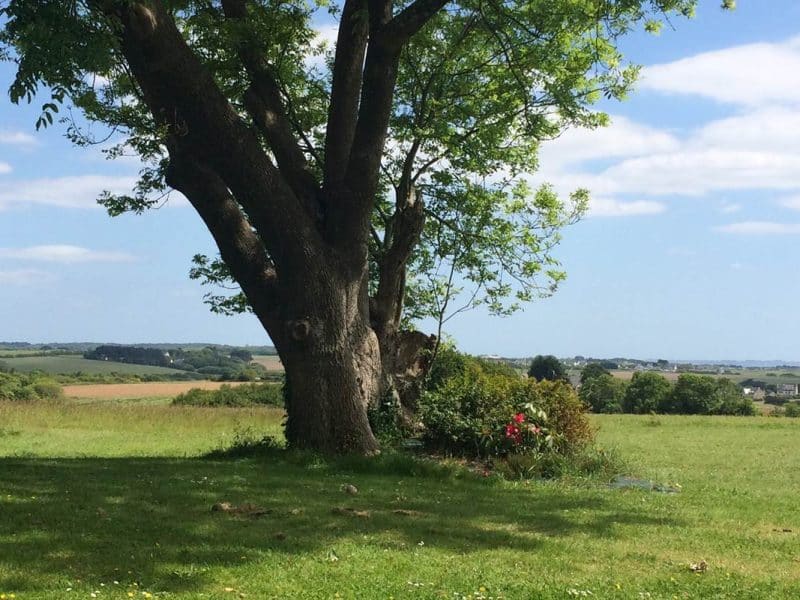 Gîte rural spacieux avec vue panoramique sur la campagne verdoyante.