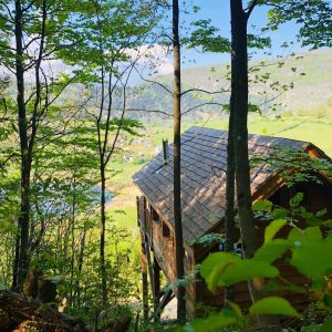Cabane perchée en bois, entourée darbres, avec vue sur la vallée verdoyante.