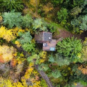 Cabane perchée au cœur des forêts colorées dAuvergne-Rhône-Alpes.