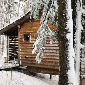 Cabane en bois nichée sous la neige, entourée darbres enneigés en Auvergne-Rhône-Alpes.