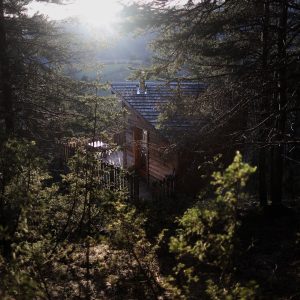 Cabane en bois nichée dans les arbres, baignée de lumière au lever du soleil.