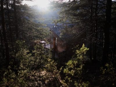 Cabane en bois nichée dans les arbres, baignée de lumière au lever du soleil.