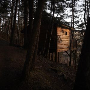 Cabane perchée en bois, nichée entre les arbres, offrant une vue sur la nature environnante.