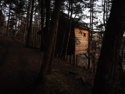 Cabane perchée en bois, nichée entre les arbres, offrant une vue sur la nature environnante.