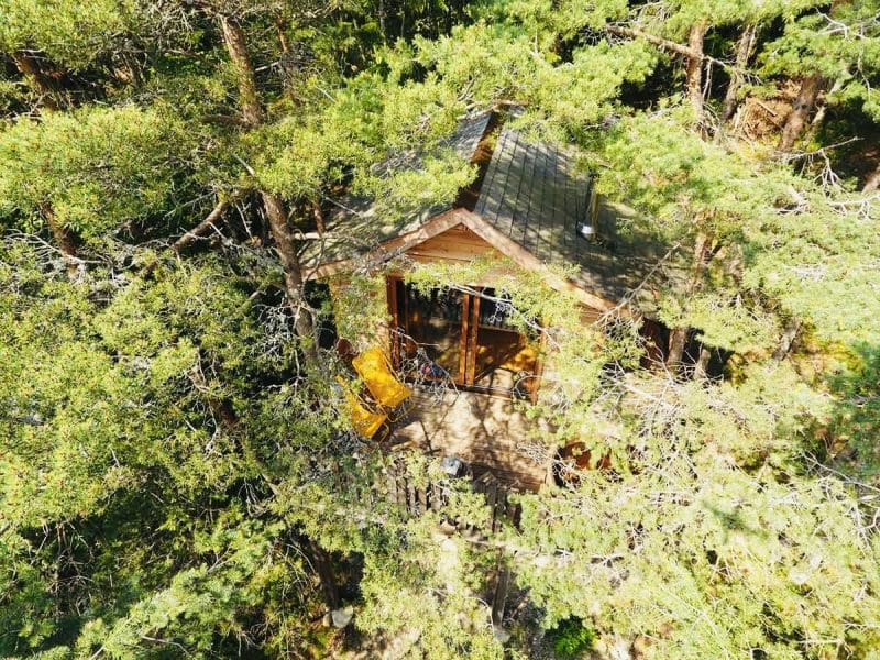 Cabane en bois nichée parmi les arbres, avec une terrasse accueillante.