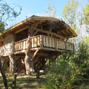 Authentic Nature - Fuste - Logement insolite