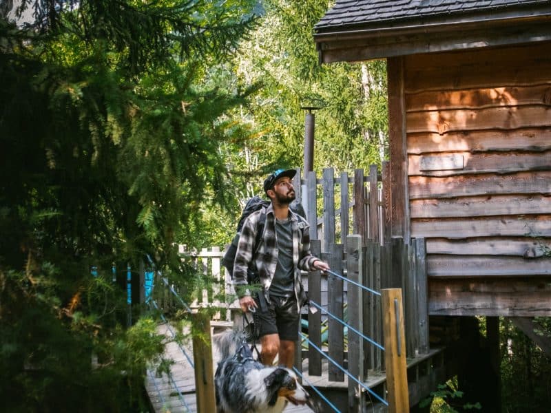 Cabane perchée en bois, entourée de verdure, avec un homme et son chien sur le chemin.