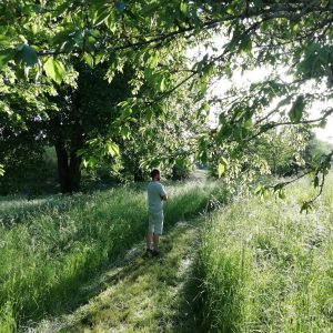 Hébergement insolite en Nouvelle-Aquitaine, au milieu dune verdure luxuriante.