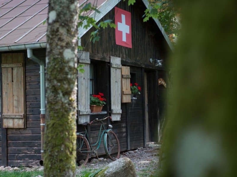 Chalet suisse en bois avec volets et fleurs, situé en pleine nature dans le Grand-Est.