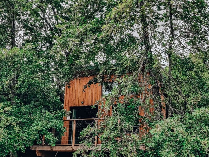 Cabane en bois nichée parmi les arbres, offrant un cadre naturel apaisant.