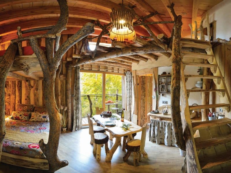 Cabane en bois avec escalier en branches et vue sur la nature. Ambiance chaleureuse et unique.