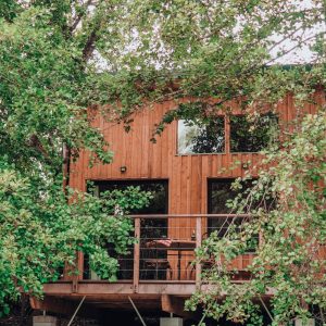Cabane en bois perchée, entourée de verdure, avec terrasse en bois accueillante.