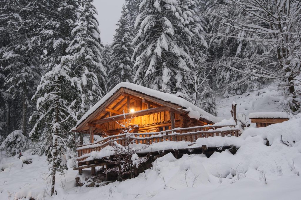 Cabane en bois dans la neige, entourée de sapins majestueux et illuminée chaleureusement.