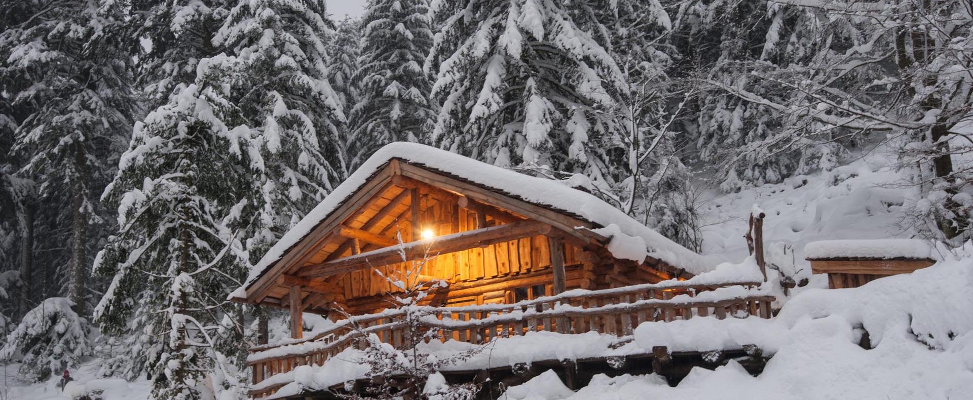 Cabane en bois dans la neige, entourée de sapins majestueux et illuminée chaleureusement.