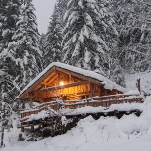 Cabane en bois dans la neige, entourée de sapins majestueux et illuminée chaleureusement.