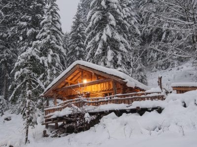 Cabane en bois dans la neige, entourée de sapins majestueux et illuminée chaleureusement.