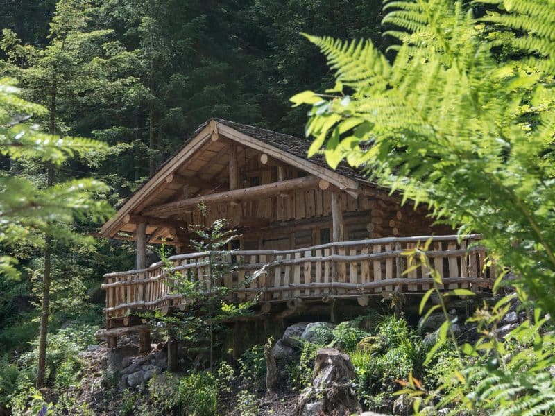 Cabane en bois perchée, entourée de verdure luxuriante dans le Grand-Est.