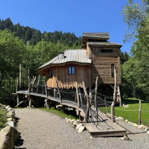 Cabane perchée en bois avec passerelle, entourée de verdure à Grand-Est.