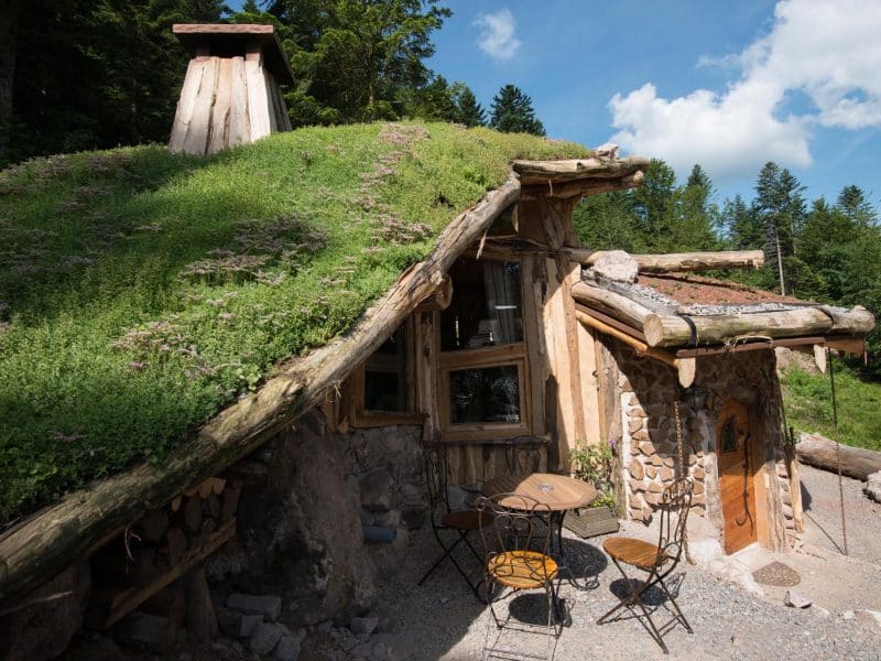 Hébergement insolite en forme de maison en bois avec toit végétal à Grand-Est.