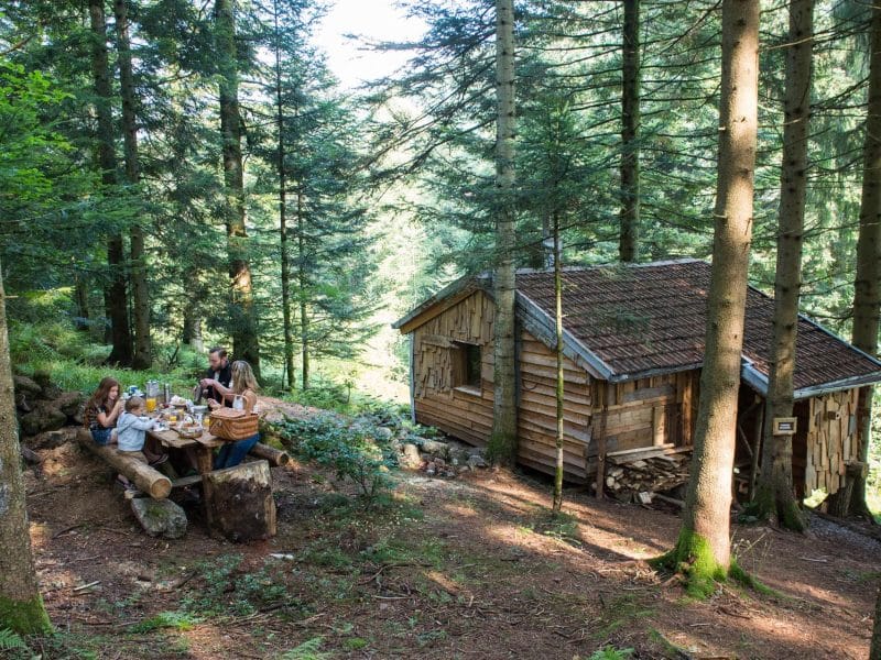 Cabane en bois dans les arbres, entourée de verdure, idéale pour un séjour nature.