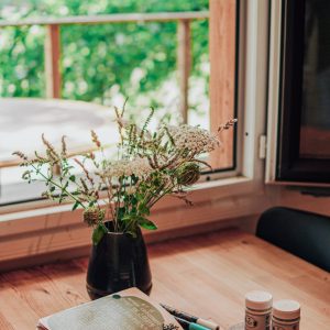 Hébergement insolite en Nouvelle-Aquitaine avec vue sur la nature et un coin bureau accueillant.