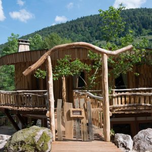 Hébergement insolite en bois à Grand-Est, avec une architecture naturelle et accueillante.