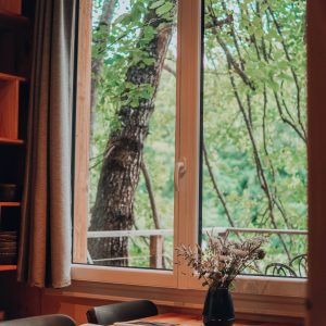 Cabane en bois à Nouvelle-Aquitaine, vue sur la nature verdoyante depuis la fenêtre.