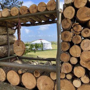 tempImagejRVSAF-scaled