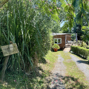 Chalet en bois entouré de verdure, avec une terrasse ensoleillée à Aquitaine.