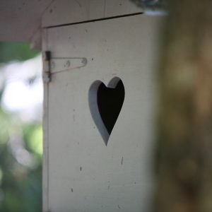 Cabane en bois avec une fenêtre en forme de cœur, nichée dans la nature du Limousin.